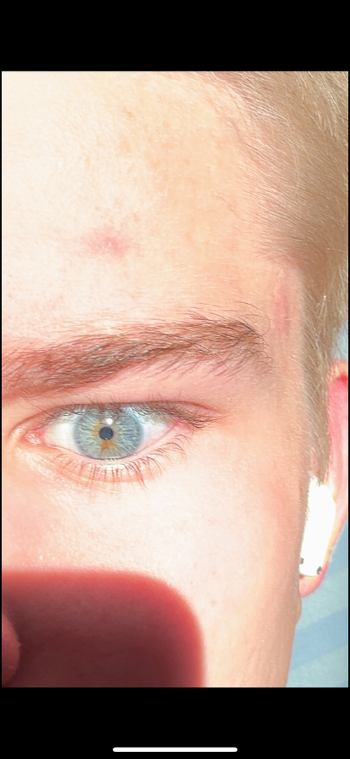 IMG_7028.png