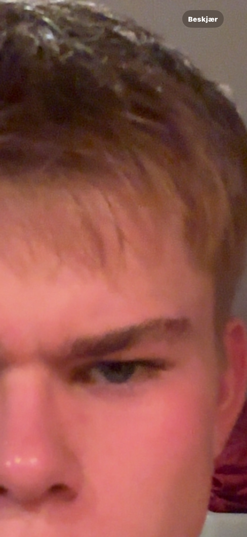 IMG_7024.png