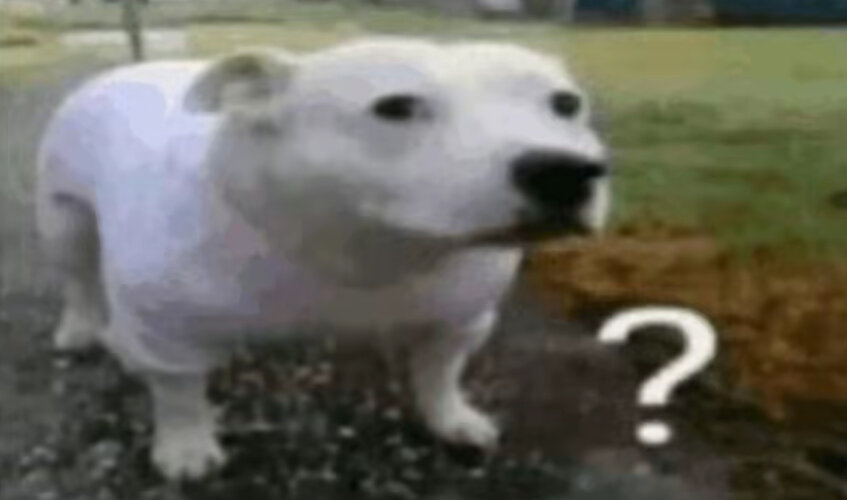 IMG_0451.jpeg