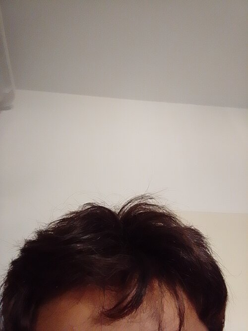 17586270527726137422822248536411