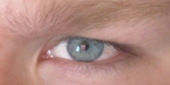 IMG_9693.jpeg