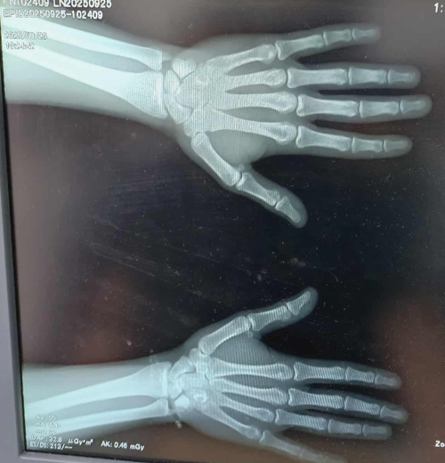 Screenshot 2025-09-25 112847.png