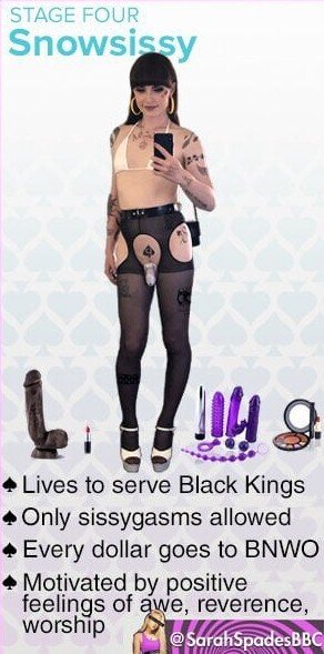 5367460 IMG 4154   Copy