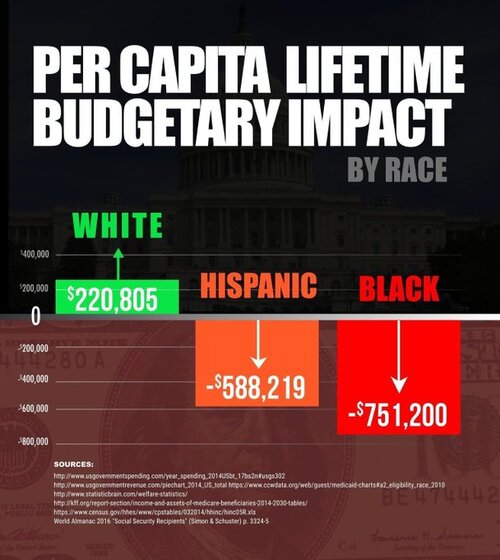budgetaryimpact.jpg