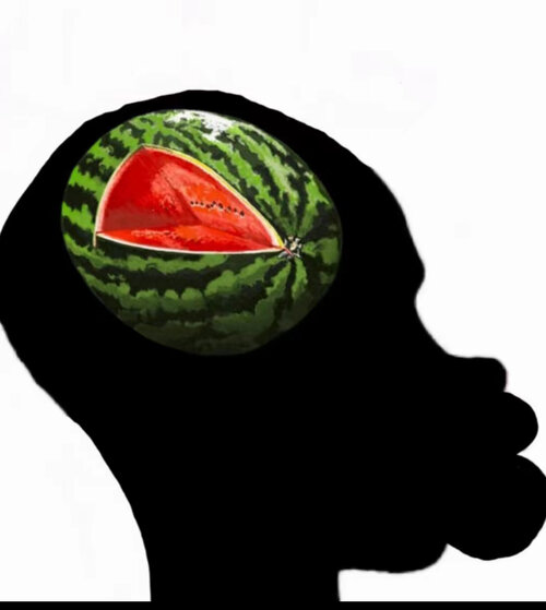 Melon