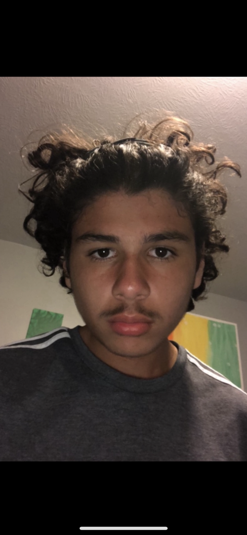 5378694 IMG 6971