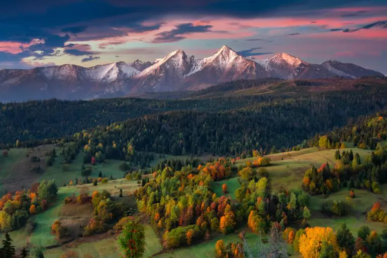 GettyImages 1438435560 770x513
