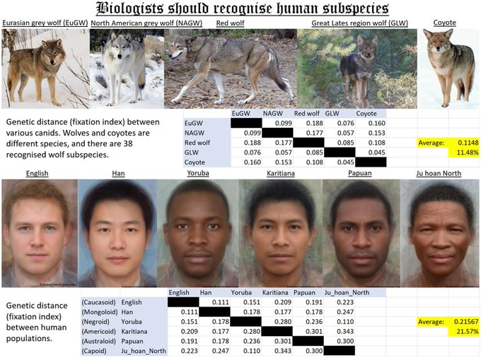Genetic diversity