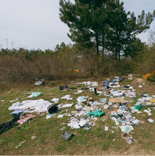 1759319312053 1759319312053