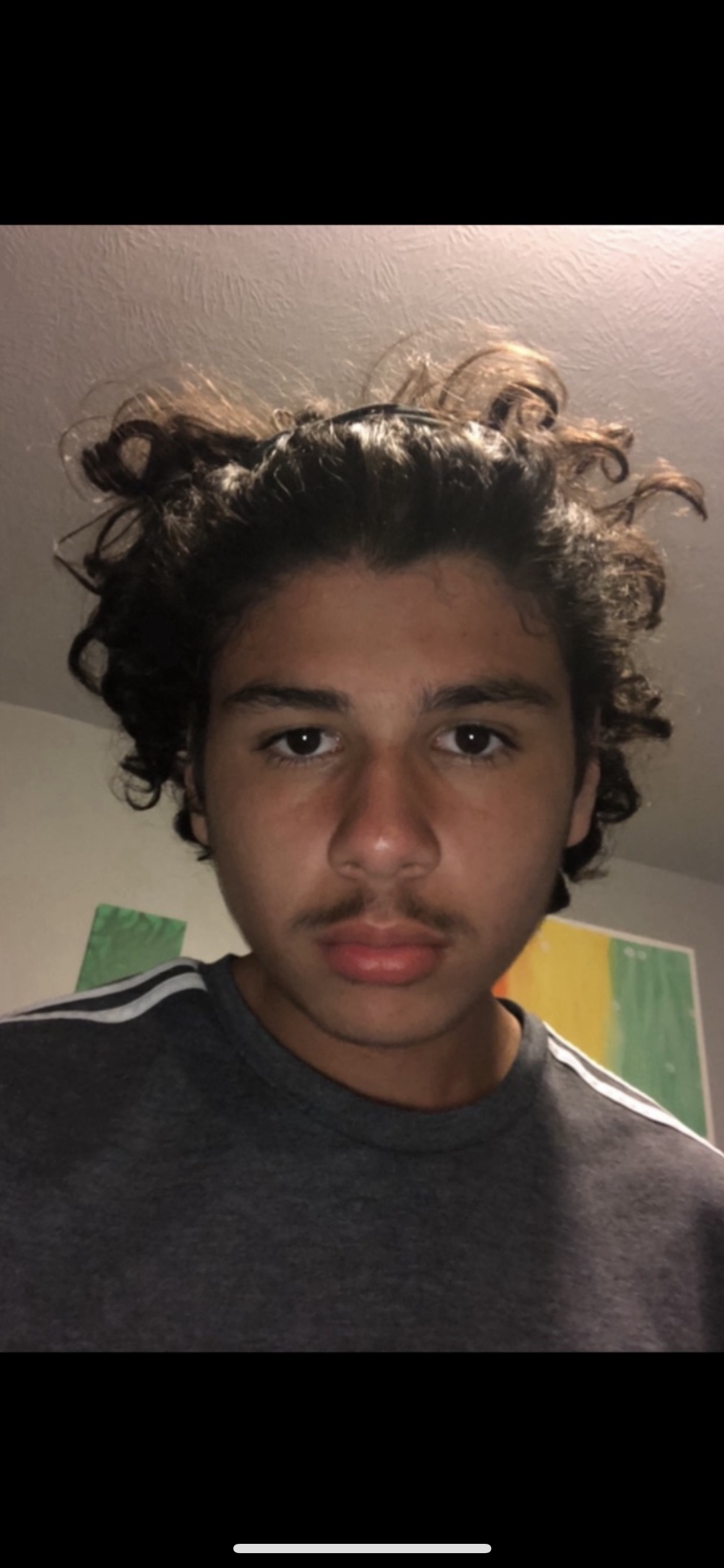 5378744 5378694 IMG 6971