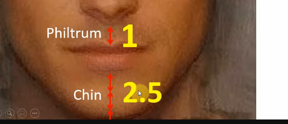 1759427653457 1759427653457