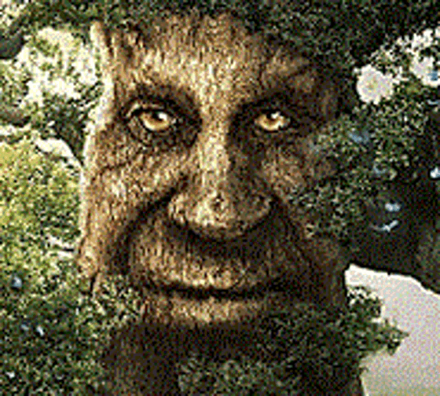 Wise old tree mystical tree m