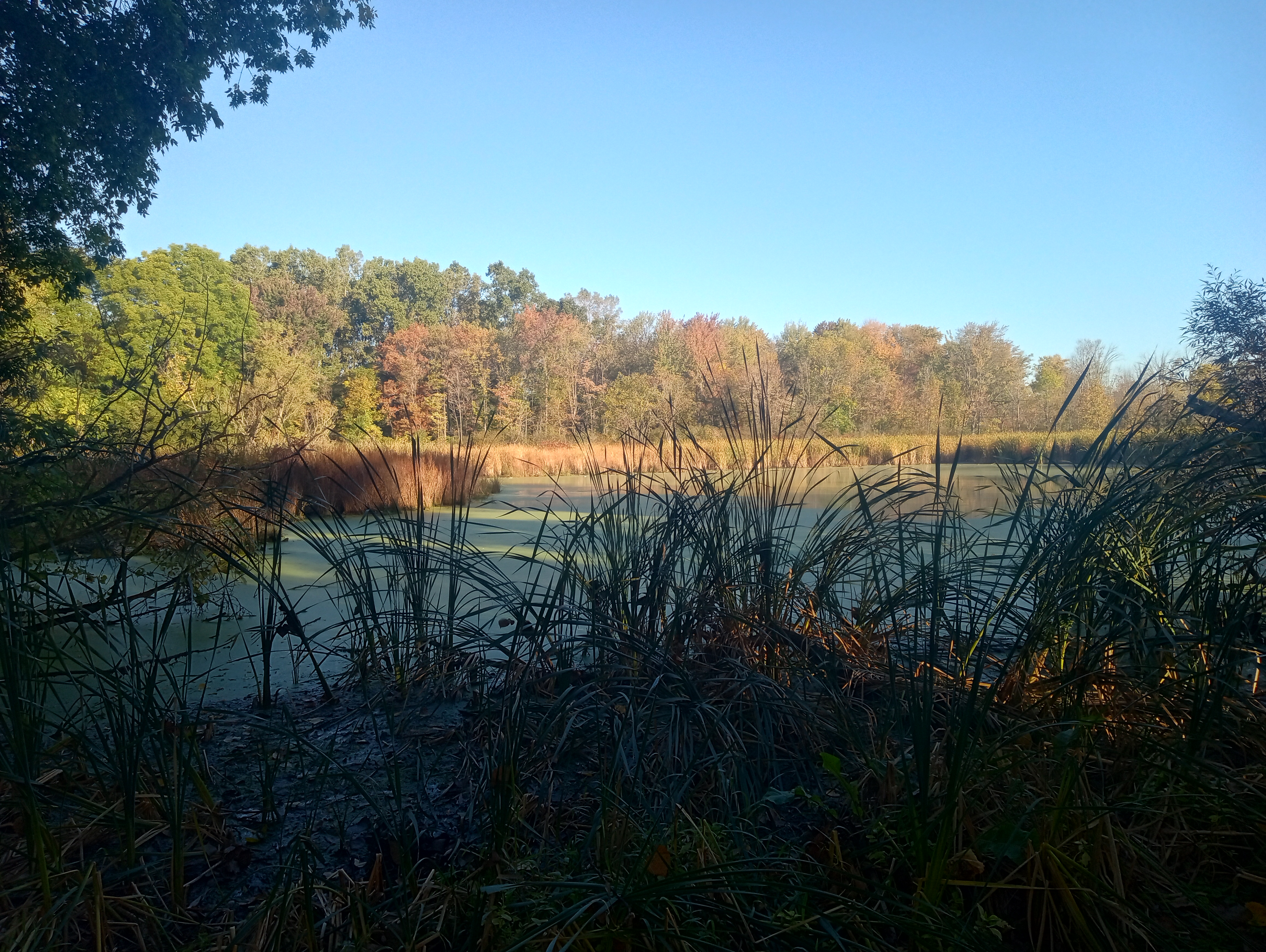 IMG 20250930 090655500 HDR