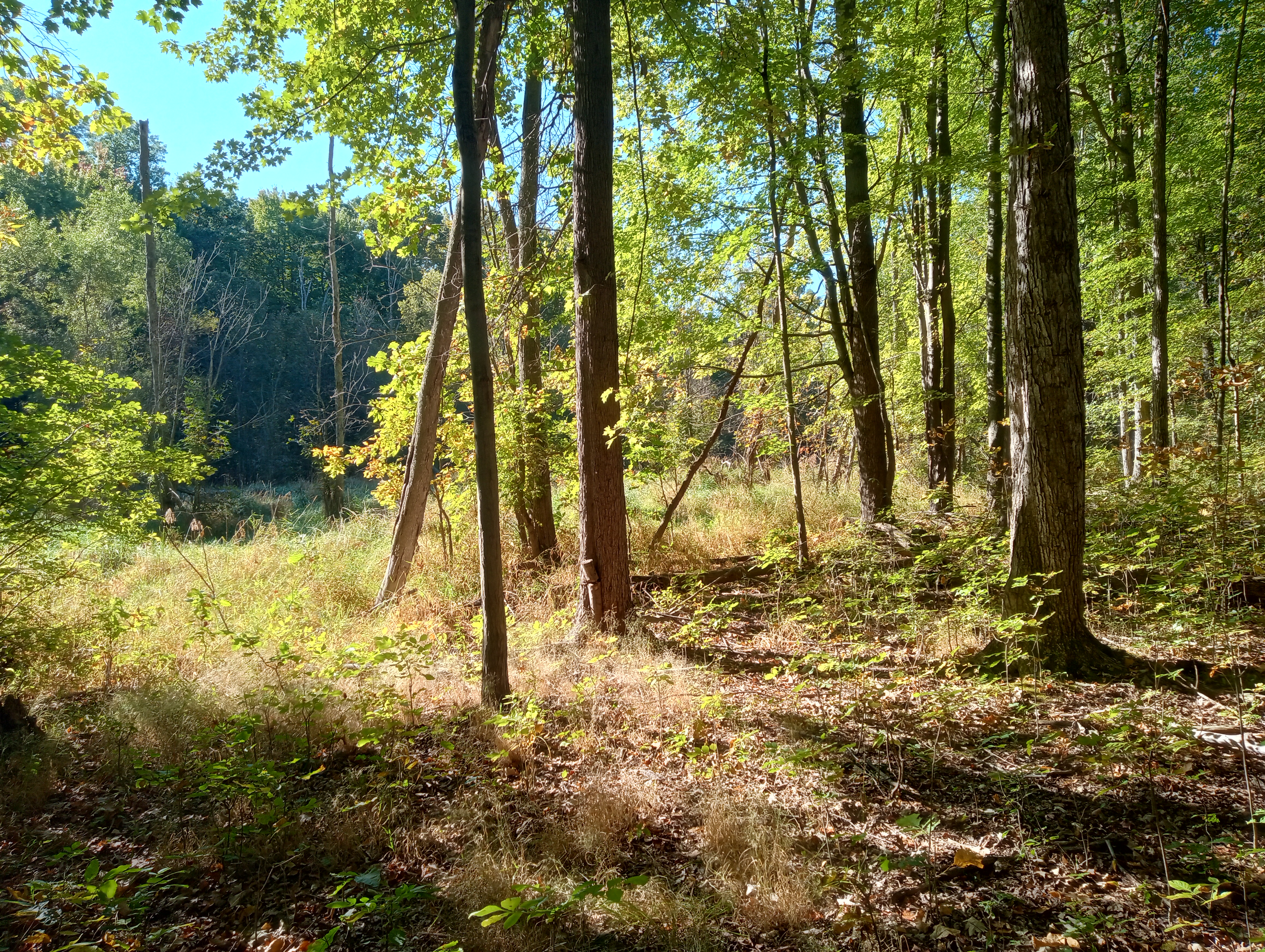 IMG 20250930 103356926 HDR