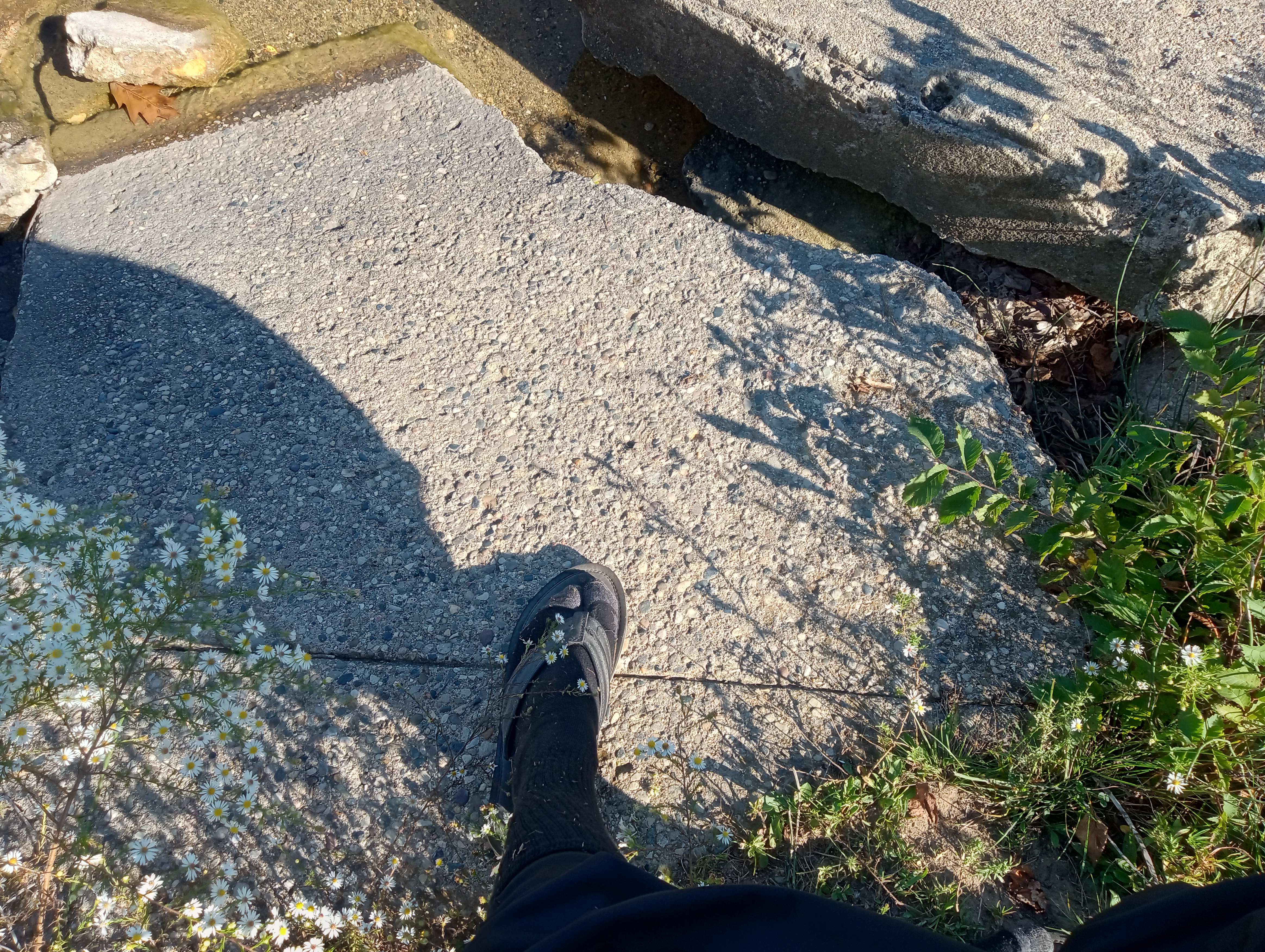 IMG 20250930 141821596 HDR