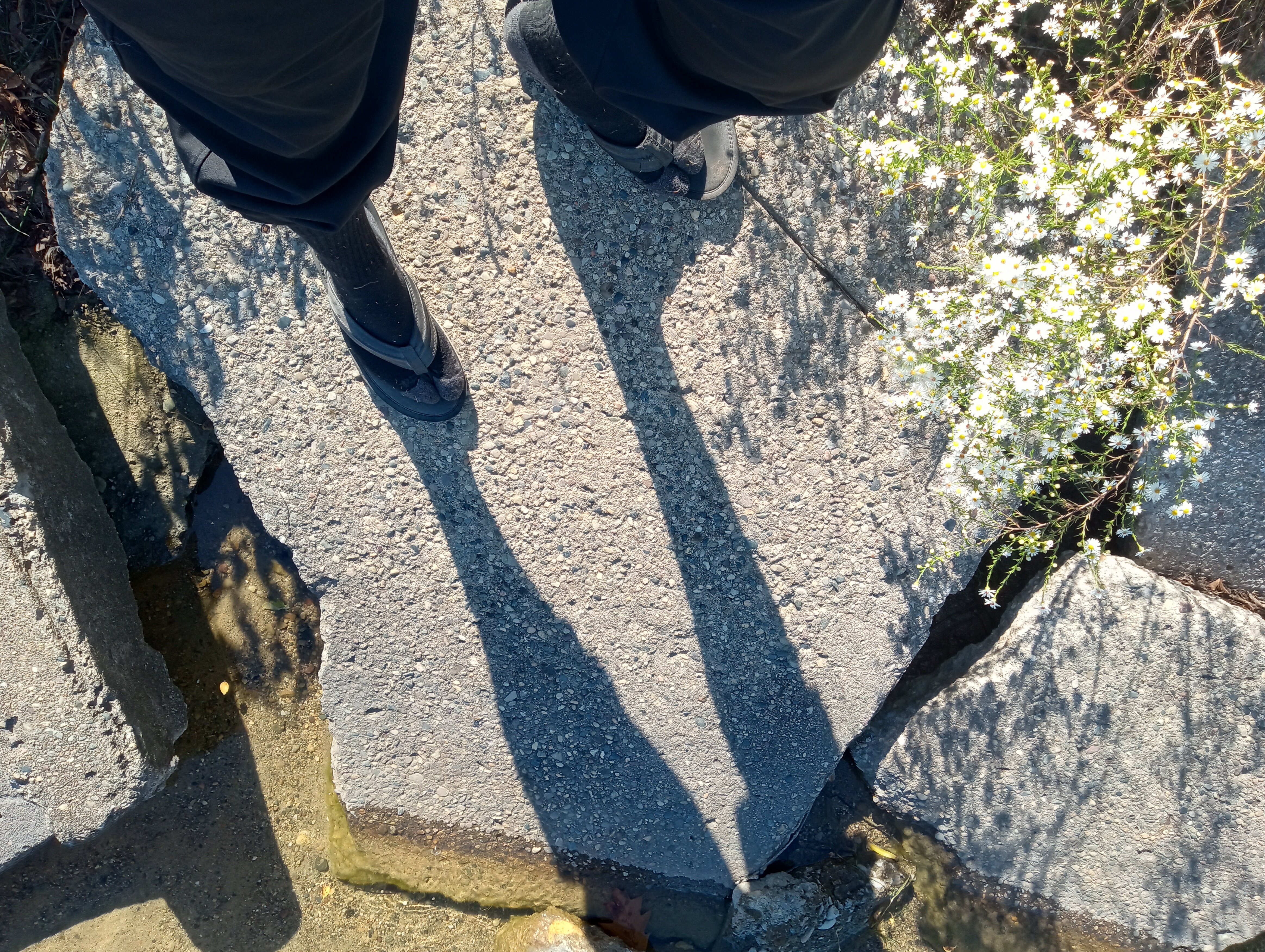 IMG 20250930 141841094 HDR