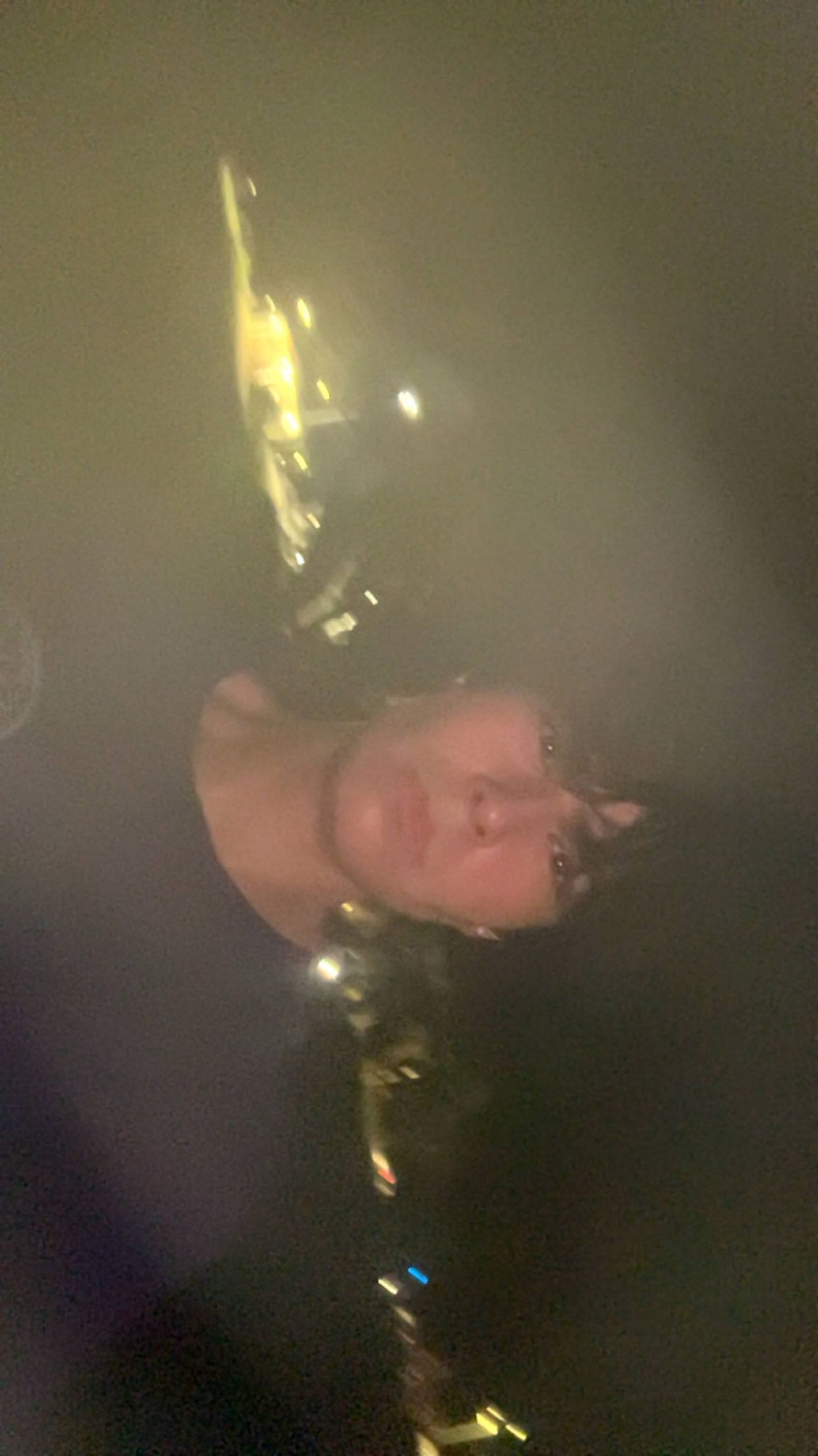 IMG 3759