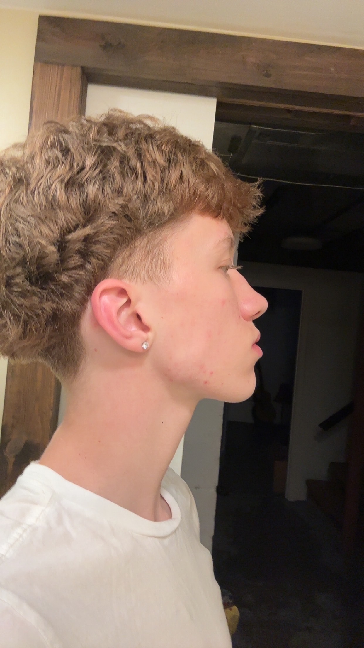 IMG 0131