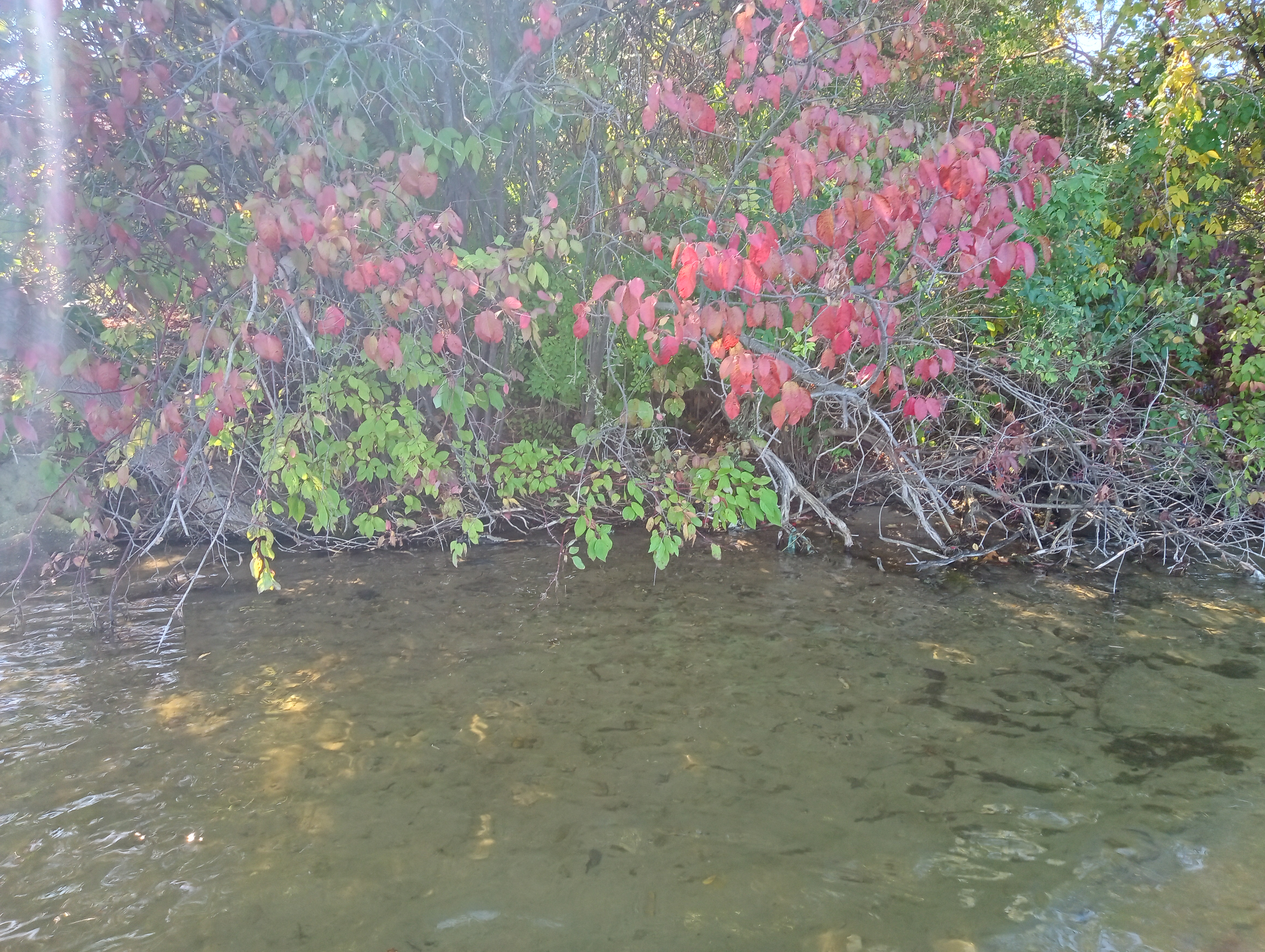IMG 20250930 142155974 HDR