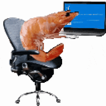 Shrimp bad posture