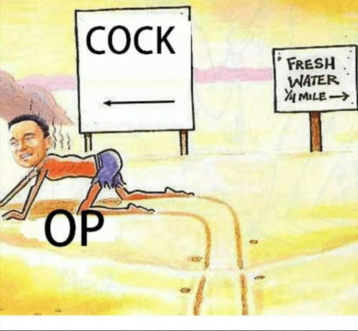 5324593 1757551931507