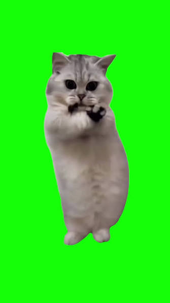 1000005304