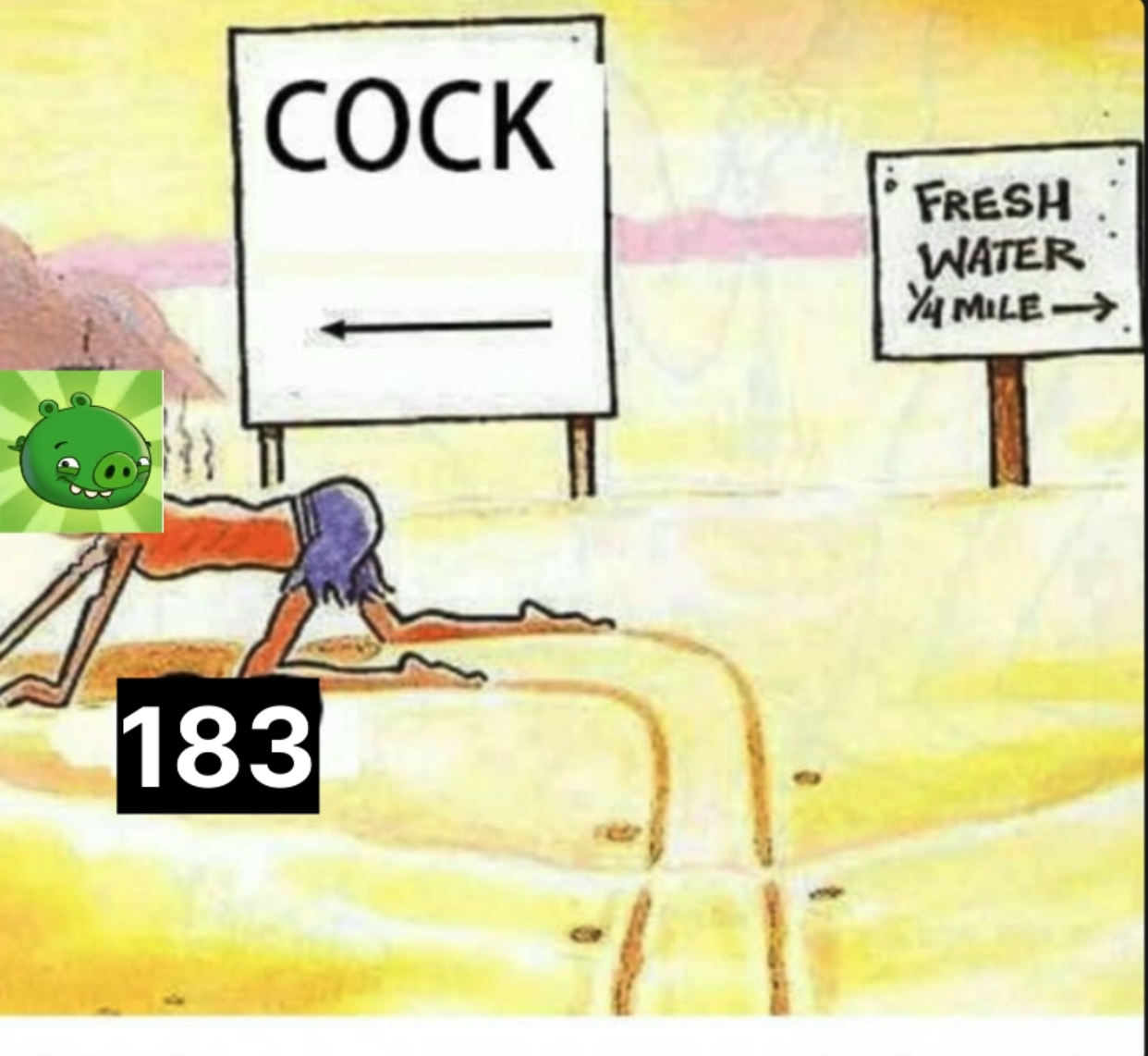 5394491 1000206283