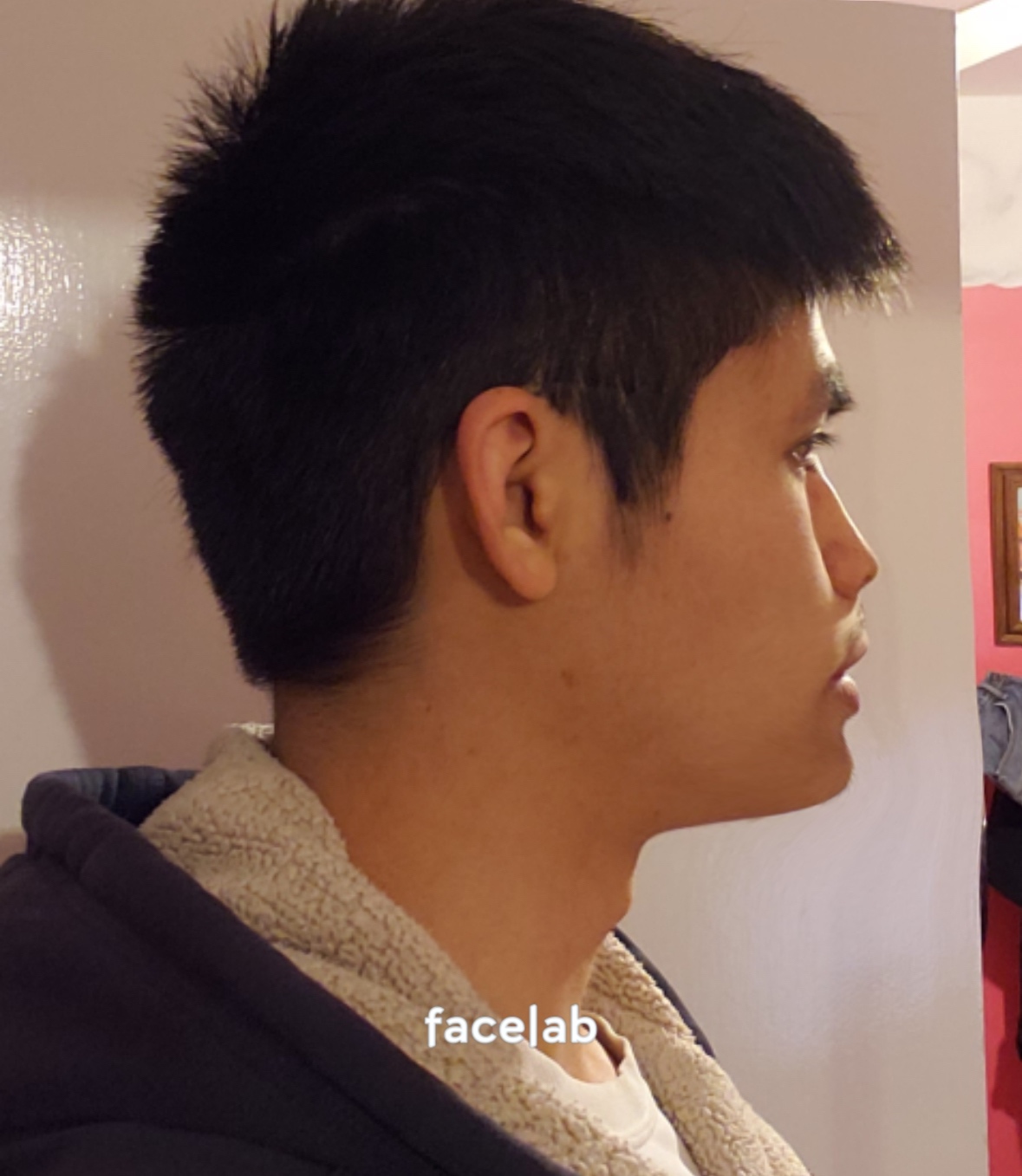 Facelab 2025 10 04 04 10 54