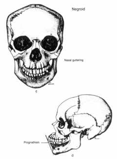 1759610560504