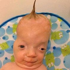 IMG 1323