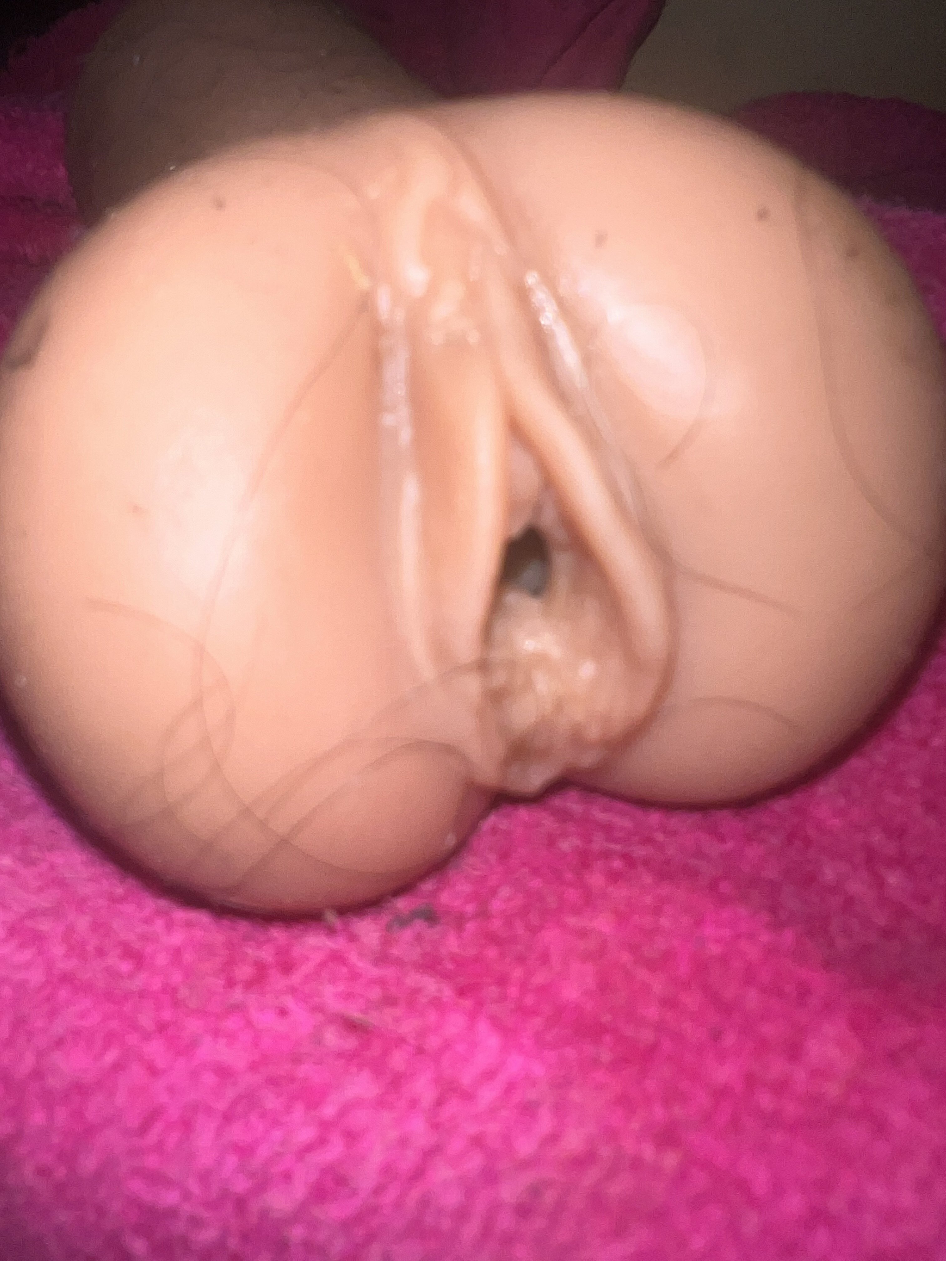 IMG 1503