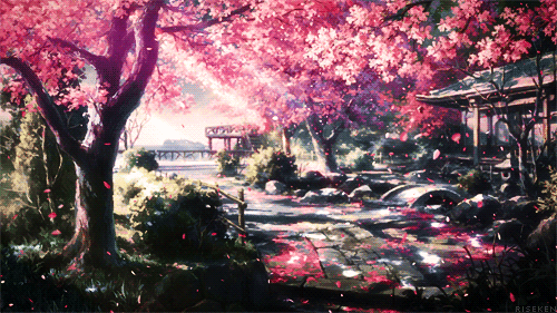 Animeshercom white season pink 1786047