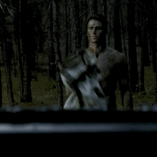 VideoToGif GIF VideoToGif GIF