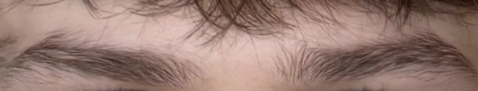 IMG 1458