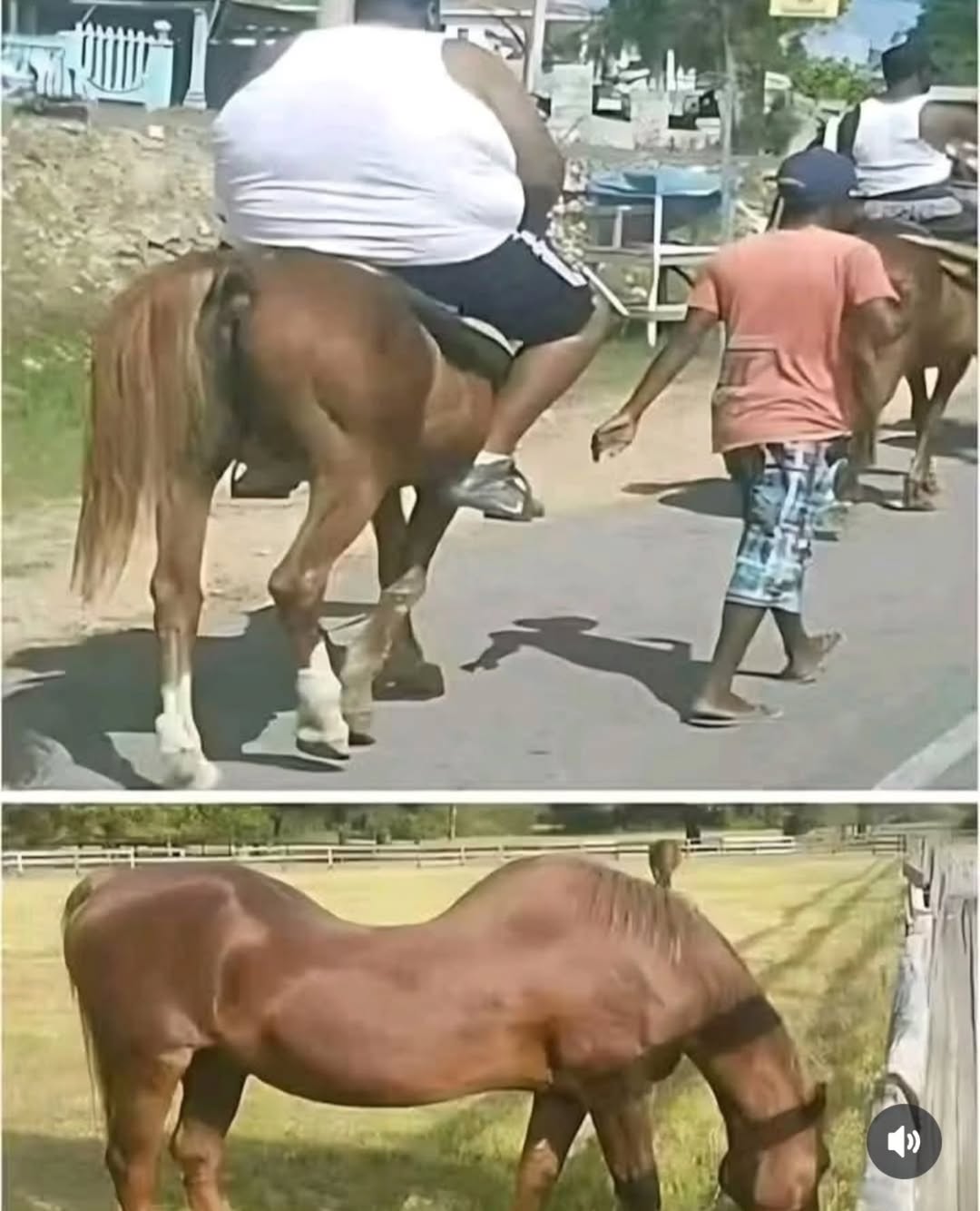 553634611 17902046169267828 3841918004926759701 nheic