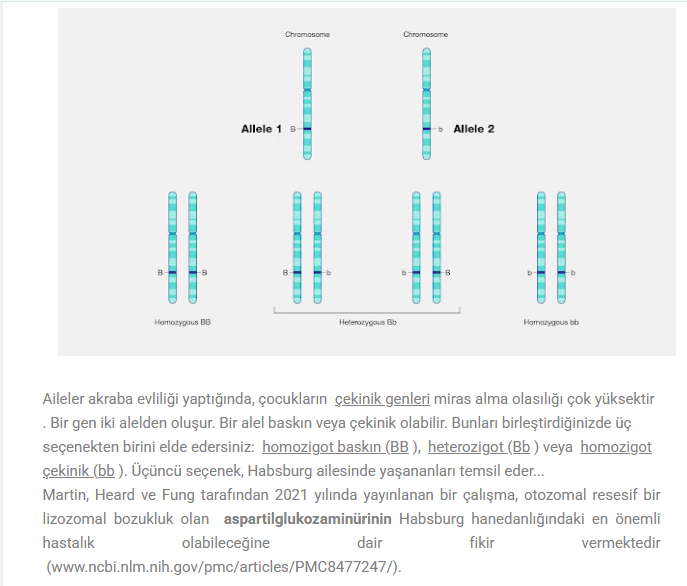 1759924233944 1759924233944