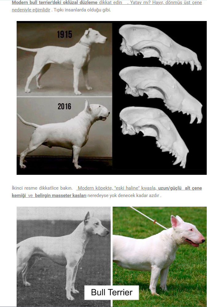 1759925351745 1759925351745