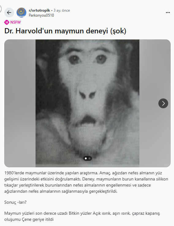 1759926302603 1759926302603