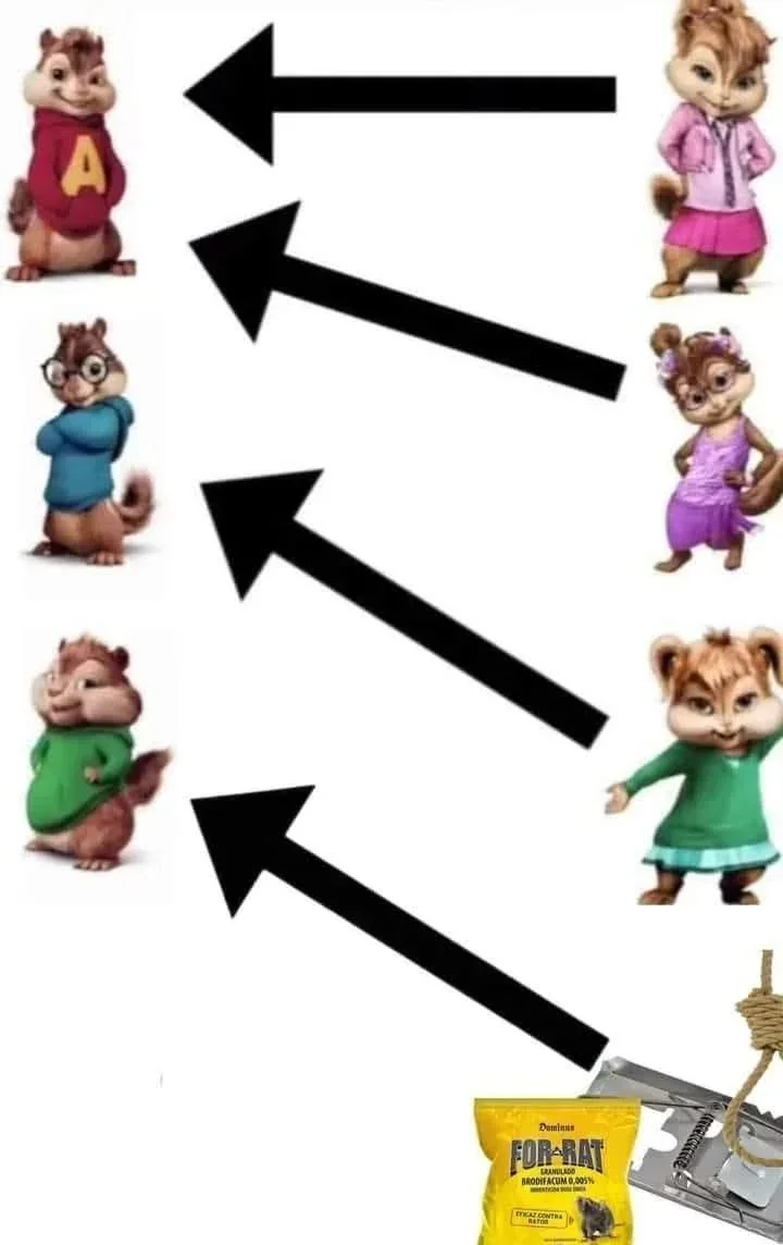 8537B204 B7F0 4703 BD19 9CEBB6F814A5