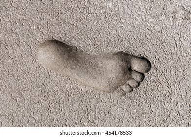 IMG 3159