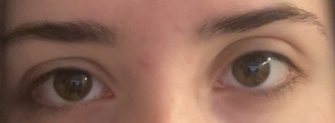 IMG 9601