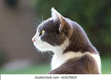 1760025419001