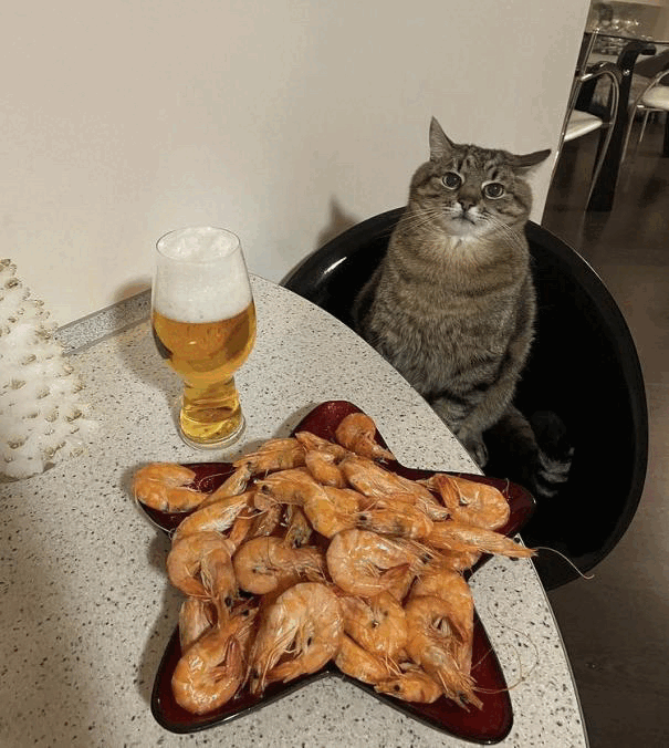 Cat2
