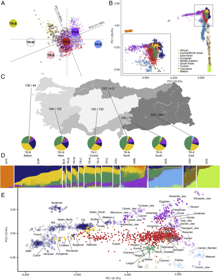 Pnas2026076118fig01