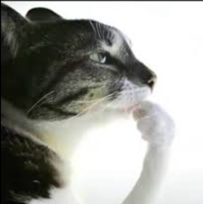 1760102954315
