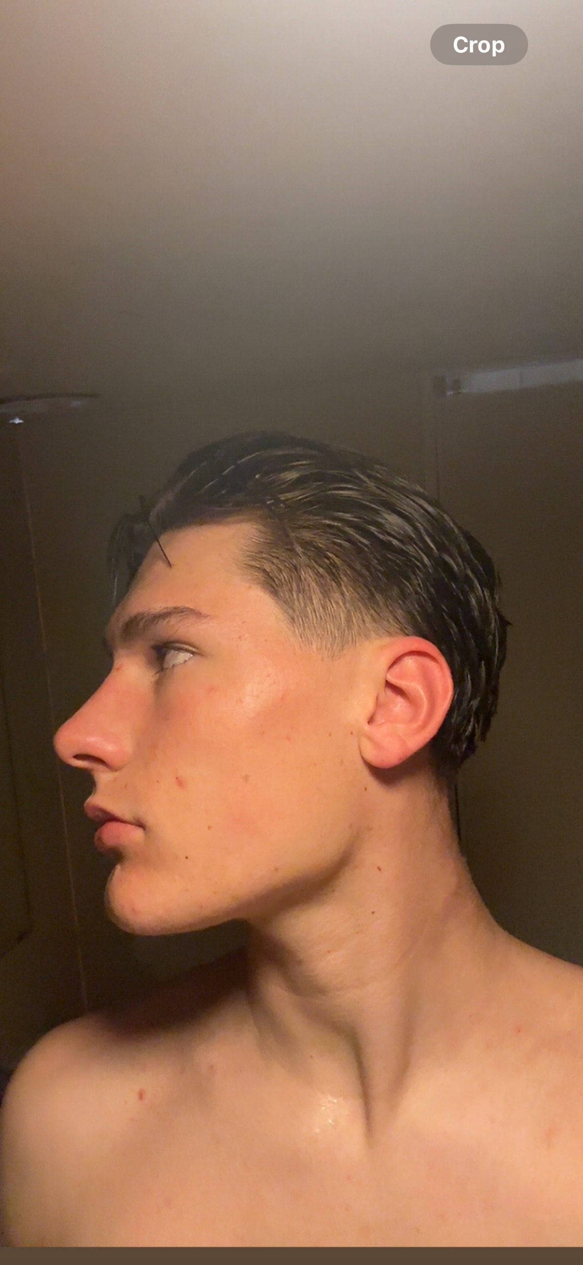 IMG 0046