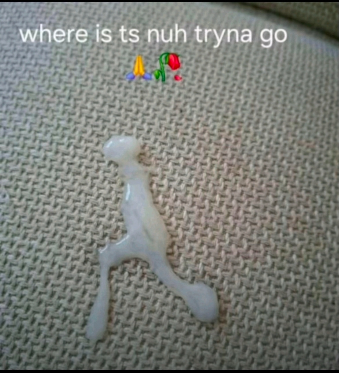 1000013633