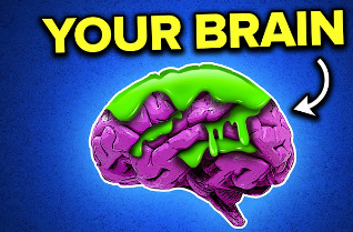 Yourbrain