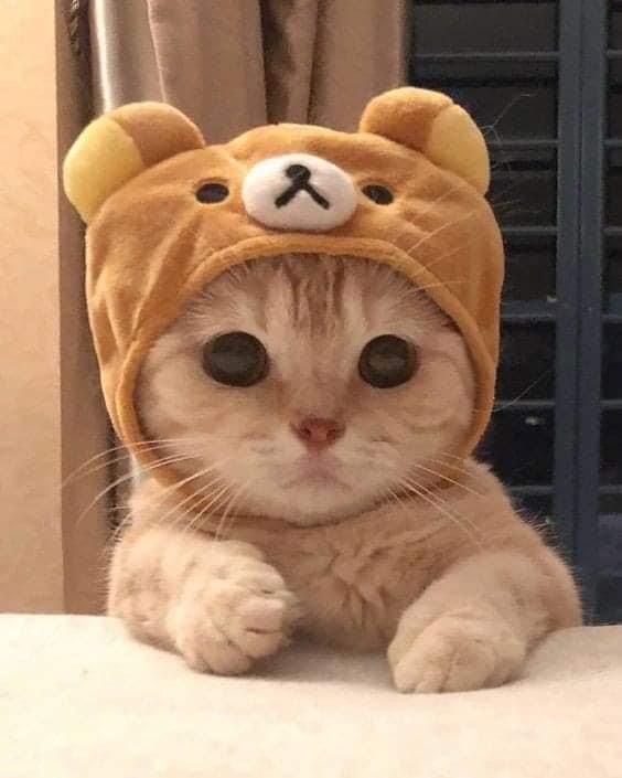 1000005707