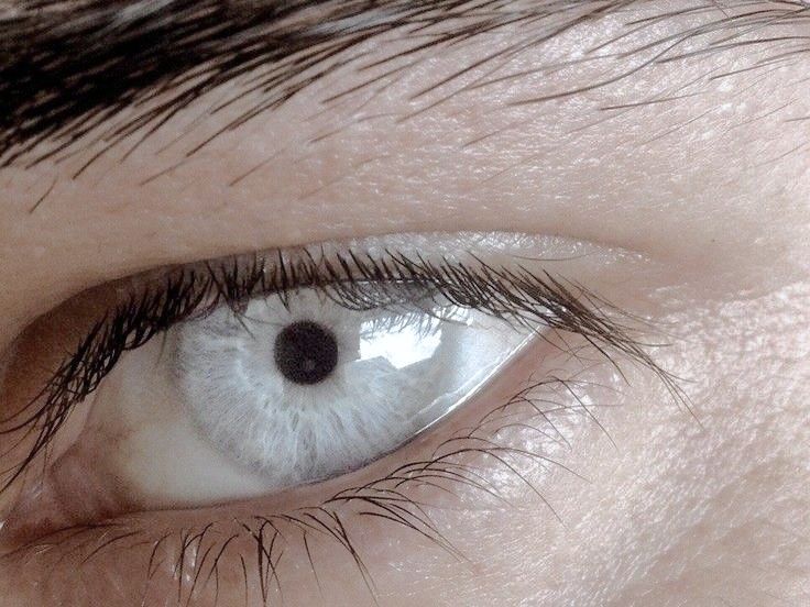 7e996252d7bb6d4856acf4b52c1fd6b8